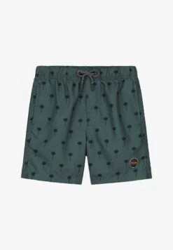 Shiwi SCRATCHED PALM - Badeshorts - Smokey Green -Badebekleidungsgeschäft 0e508b70383a45e1a9333b3da15e28c0 1