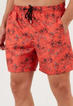 REGULAR FIT - Badeshorts - Orange 11 REGULAR FIT - Badeshorts - Orange -Badebekleidungsgeschäft 0edc5d04f41a41a8b69ba543059b6fcc