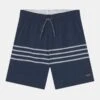 Abercrombie & Fitch PATTERN PREPPY STRIPE - Badeshorts - Navy 2 Abercrombie & Fitch PATTERN PREPPY STRIPE - Badeshorts - Navy -Badebekleidungsgeschäft 15151b48cce34217b09e4169e45919da