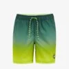 WE FASHION Badeshorts - Green -Badebekleidungsgeschäft 2f34146c595143aea0b9b7b7b2367697