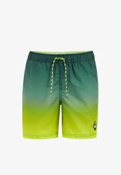 WE FASHION Badeshorts - Green