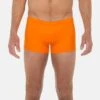 Hom SEA LIFE - Badehose Pants - Orange -Badebekleidungsgeschäft 314f19613f404e80a8aeaae5049dcc49