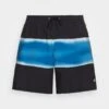 Quiksilver SURFSILK AIR-BRUSH VOLLEY 17NB - Badeshorts - Black