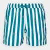 BORG PRINT SWIM - Badeshorts - Hellblau -Badebekleidungsgeschäft 52d9690b3baa43e0b581a425024a33c9