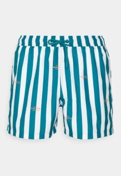 BORG PRINT SWIM - Badeshorts - Hellblau
