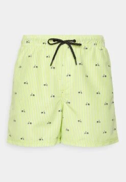 Jack & Jones JPSTFIJI JJSWIM MINI STRIPE - Badeshorts - Deep Lake -Badebekleidungsgeschäft 8f848f5c932e4927a0ff415c358090e0