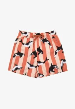ORCA STRIPES DRAWCORD - Badeshorts - Orange -Badebekleidungsgeschäft 9db2808c0063463ba277ef50d91ef59f 1