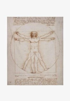 TAMARA DE LEMPICKA - ARUMS - Strandtuch - Mehrfarbig 12 TAMARA DE LEMPICKA - ARUMS - Strandtuch - Mehrfarbig -Badebekleidungsgeschäft c96cad9c33e74e64b7c543e824eb2bca