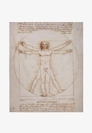 TAMARA DE LEMPICKA - ARUMS - Strandtuch - Mehrfarbig 7 TAMARA DE LEMPICKA - ARUMS - Strandtuch - Mehrfarbig – Bild 5