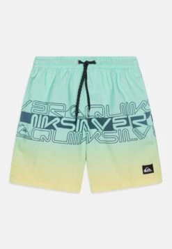 Quiksilver EVERYDAY WORDBLOCK - Badeshorts - Navy Blazer -Badebekleidungsgeschäft ef7da398c6024a28ab2f981fe2ed7ece